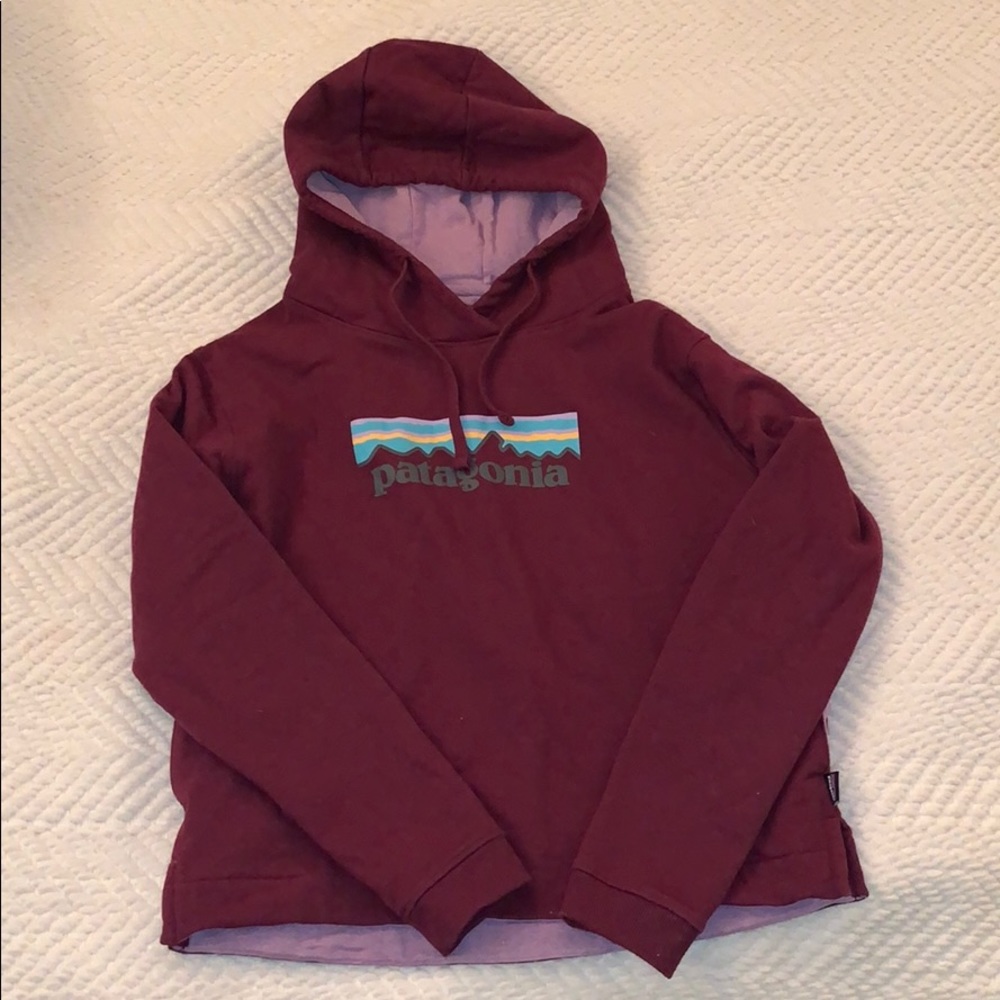 Patagonia hoodie